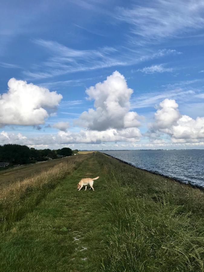 Ijsselmeer Lake Houses อันไดค์ ภายนอก รูปภาพ